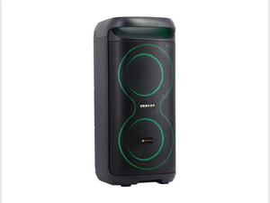 בידורית +מיקרפון אלחוטי 80W MIRCASE MKS50