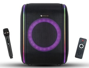 בידורית +מיקרפון אלחוטי 30W MIRCASE MKS90