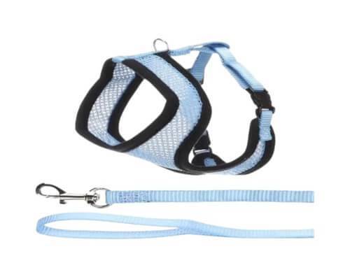 פלמינגו סט רתמה ורצועה לחתול | Flamingo Cat Harness and Leash Set
