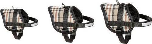 פלמינגו רתמה לכלב קטן | Flamingo Small Dog Harness