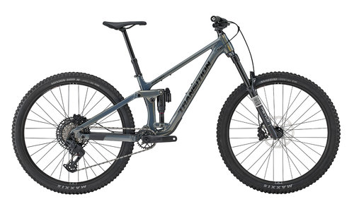 אופני הרים טרנזישן כסף - TRANSITION SENTINEL ALLOY EAGLE 70 29