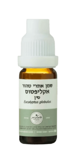 שמן אתרי אקליפטוס גלובולוס אריזת חסכון | מכיל 50 מ