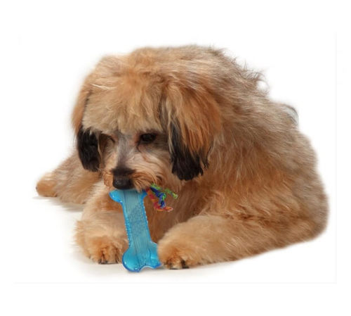 פט סטייג'ס Pet Stages - צעצוע לעיסה דנטלי לכלב - עצם אורקה מיני
