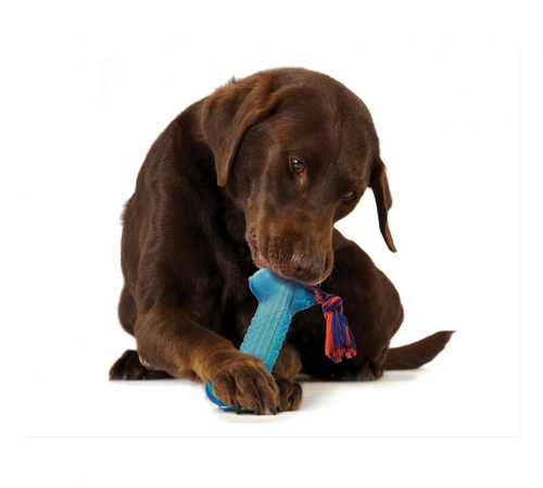 פט סטייג'ס Pet Stages - צעצוע לעיסה דנטלי לכלב - עצם אורקה קוד 243 