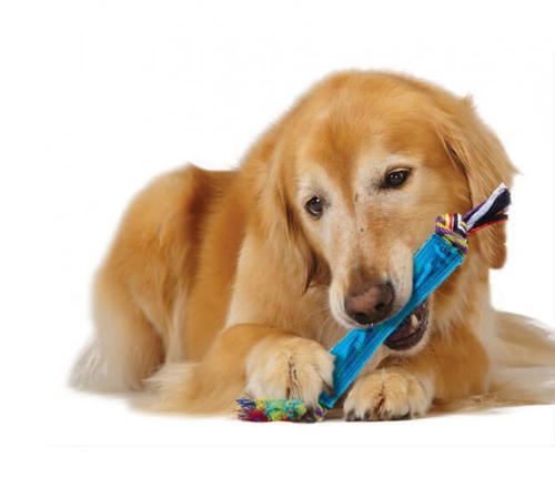 פט סטייג'ס Pet Stages - צעצוע לעיסה דנטלי לכלב - מקל אורקה 220