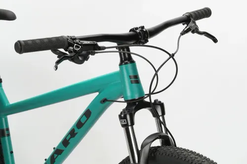 HARO FlightLine 29 1 detail