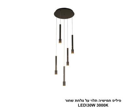 ***פיליפ חמישיה תלוי על צלחת שחור LED (25975)