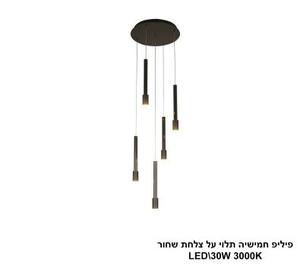 ***פיליפ חמישיה תלוי על צלחת שחור LED (25975)