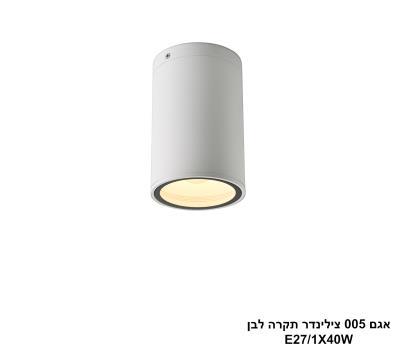***אגם 005 צילינדר תקרה לבן (25923)
