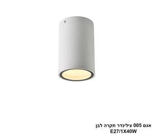 ***אגם 005 צילינדר תקרה לבן (25923)