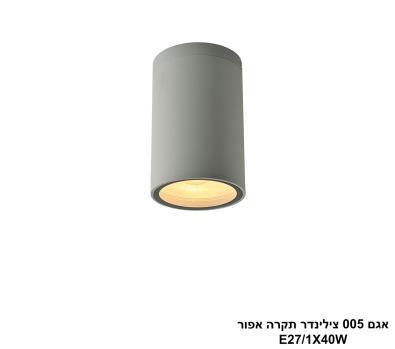 ***אגם 005 צילינדר תקרה אפור (25923)