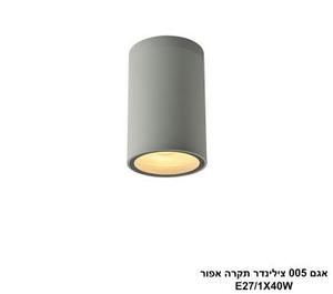 ***אגם 005 צילינדר תקרה אפור (25923)