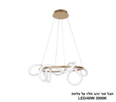 ***חבל אור זהב LED תלוי על צלחת (25880)