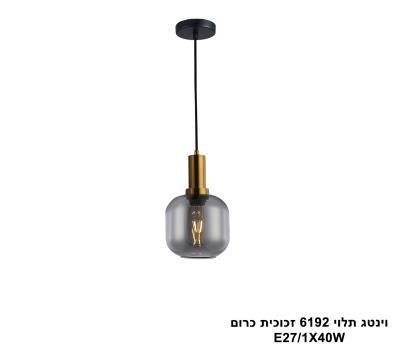 וינטג תלוי 6192 זכוכית כרום (25808)