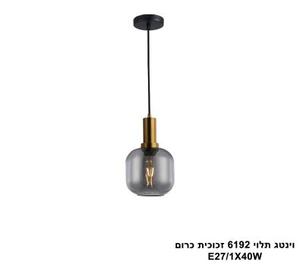 וינטג תלוי 6192 זכוכית כרום (25808)