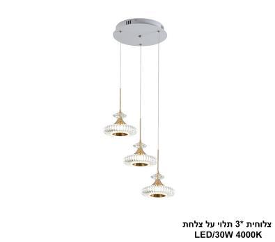 ***צלוחית *3 תלוי על צלחת LED (25720)