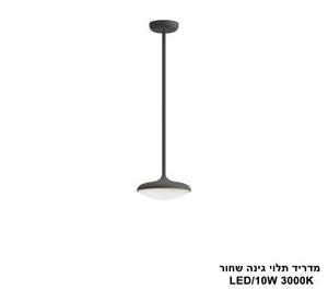 מדריד תלוי גינה שחור LED 10W (25634)