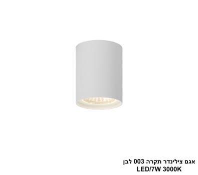 ***אגם צילינדר תקרה 003 לבן (25558)