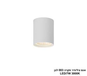 ***אגם צילינדר תקרה 003 לבן (25558)