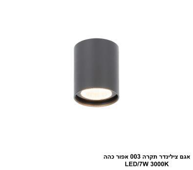 ***אגם צילינדר תקרה 003 אפור כהה (25558)
