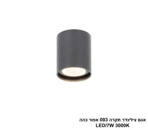 ***אגם צילינדר תקרה 003 אפור כהה (25558)