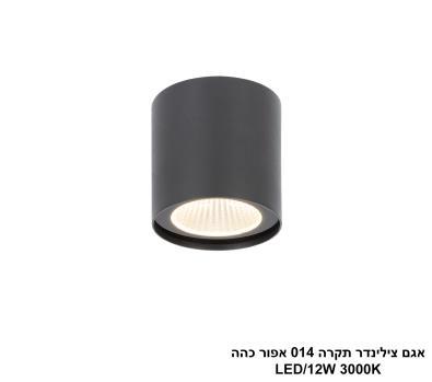 אגם צילינדר תקרה 014 אפור כהה (25557)