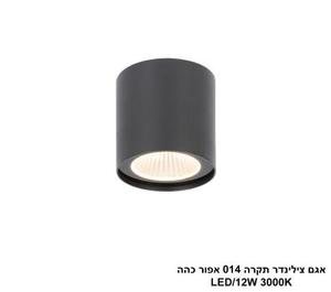 אגם צילינדר תקרה 014 אפור כהה (25557)