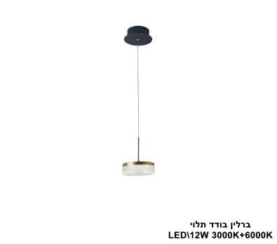 ***ברלין בודד תלוי (25507)