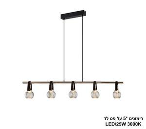 ***רימונים *5 על פס לד (25506)
