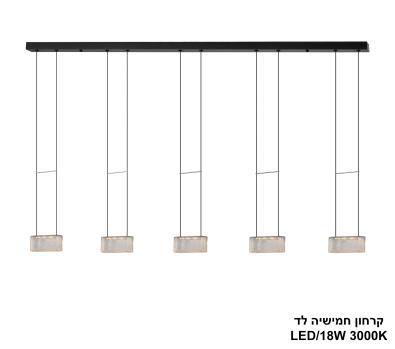 ***קרחון חמישיה לד (25529)