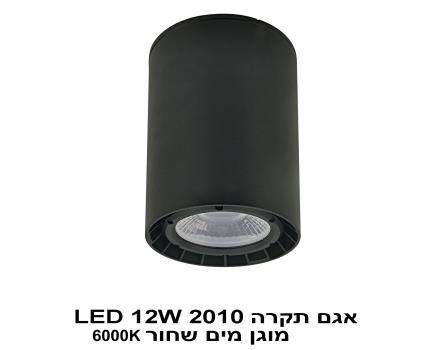 אגם תקרה 2010 שחור LED 12W 6000K מוגן מים (22610)