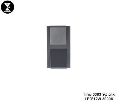 אגם קיר 0383 שחור LED 12W (24869)