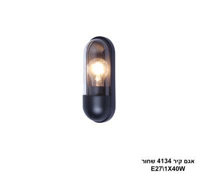 ***אגם קיר 4134 שחור IP65 (24968)
