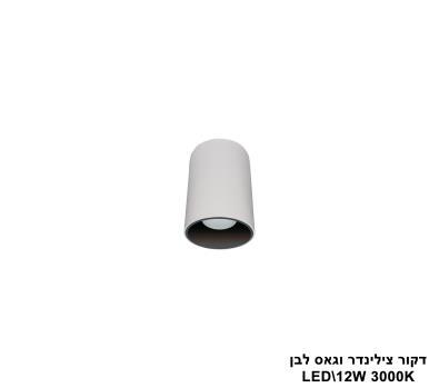 דקור צילינדר וגאס לבן LED 12W 3000K (24702)