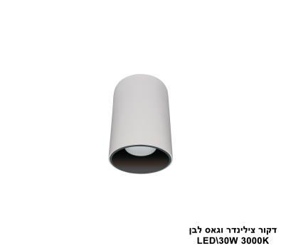 ***דקור צילינדר וגאס לבן LED 30W 3000K (24704)
