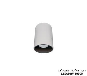 ***דקור צילינדר וגאס לבן LED 30W 3000K (24704)