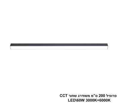 ***פרופיל 200 ס
