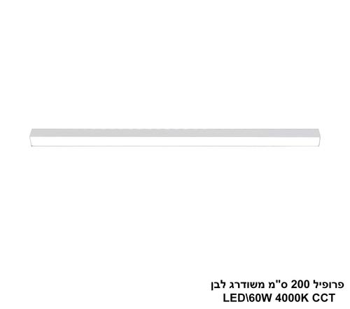 ***פרופיל 200 ס