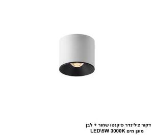 דקור צילינדר פיקנטו מוגן מים LED 5W שחור+לבן (24636)