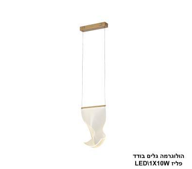 ***הולוגרמה גלים בודד LED 10W פליז (24308)
