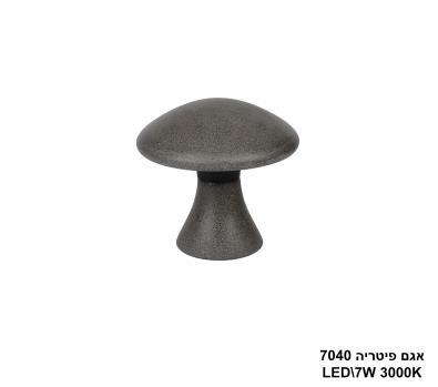 אגם פיטריה 7040
