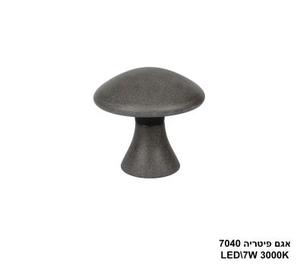 אגם פיטריה 7040