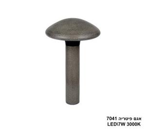 אגם פיטריה 7041
