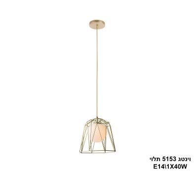 וינטג 5153 תלוי (24292)
