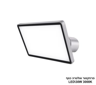 ***פרוזקטור אולטרה מתכונן 30W כסף חם (24218)
