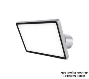 ***פרוזקטור אולטרה מתכונן 30W כסף חם (24218)