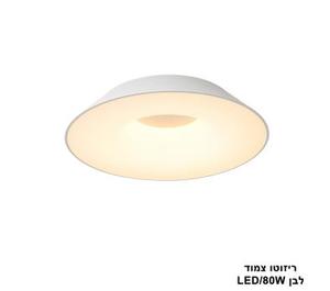 ***ריזוטו צמוד LED 80W לבן (24112)