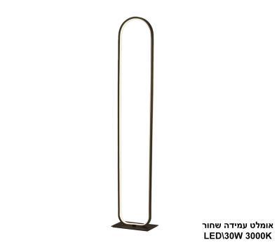 ***אומלט עמידה LED 30W שחור (24143)