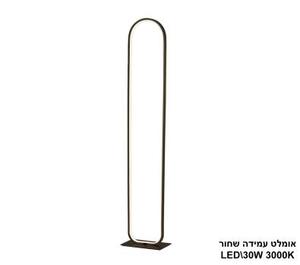 ***אומלט עמידה LED 30W שחור (24143)