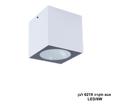 ***אגם תקרה LED 6W 6219 לבן (24002)